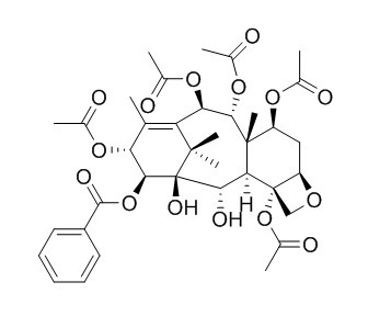 14beta-Benzoyloxy-2-deacetylbaccatin VI