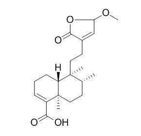 15,16-Dihydro-15-methoxy-16-oxohardwickiic acid