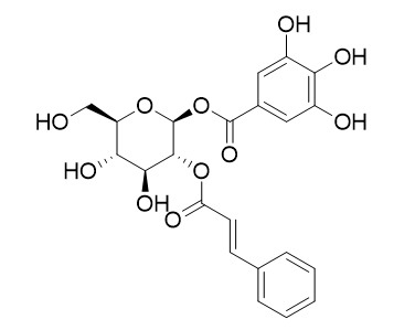 2-Cinnamoyl-1-galloylglucose