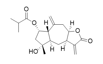 2beta-(Isobutyryloxy)florilenalin
