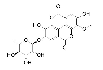 3-O-methylellagic acid 4-O-alpha-L-rhamnopyranoside