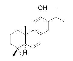 6,7-Dehydroferruginol