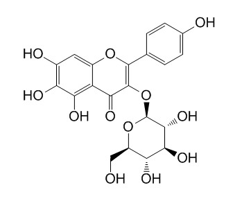 6-羟基山柰酚-3-O-β-D-葡萄糖苷