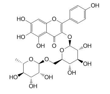 6-羟基山柰酚-3-O-芸香糖苷