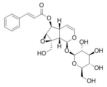 6-O-Cinnamoylcatalpol