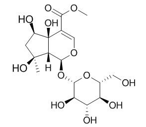 6beta-Hydroxyipolamiide