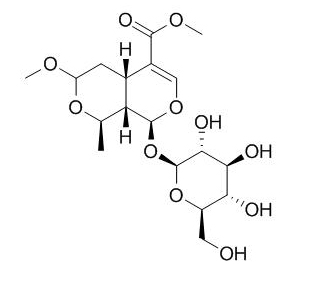 7-O-Methyl morroniside