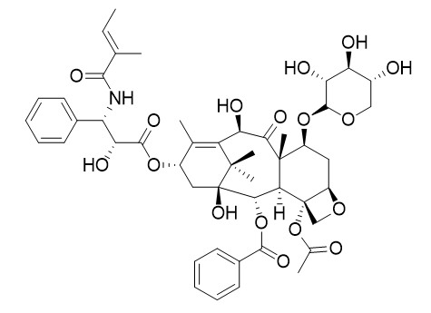 7-木糖基-10-去乙酰基紫杉醇 B