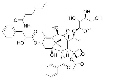 7-木糖基-10-去乙酰基紫杉醇 C