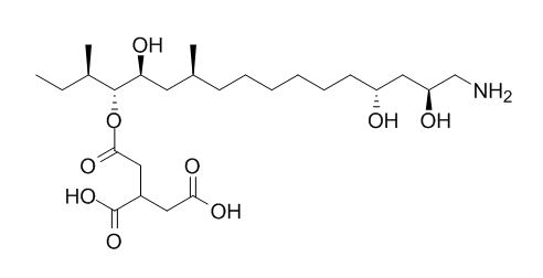 AAL Toxin TB2