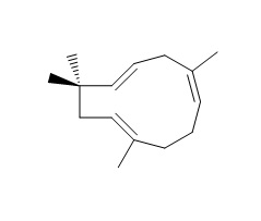 Alpha-caryophyllene