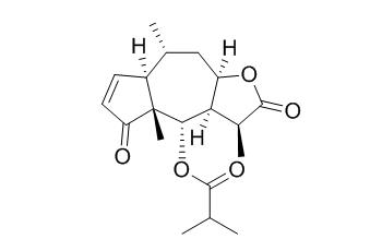 Arnicolide C