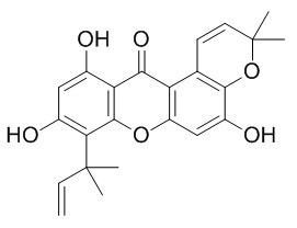 Cudraxanthone B