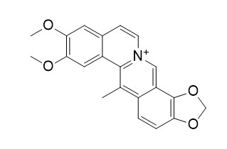 Dehydrocavidine