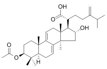 去氢茯苓酸