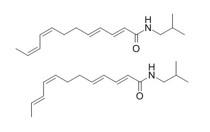 Dodeca 2E,4E,8Z,10E,Z-tetraenoic acid isobutylamide