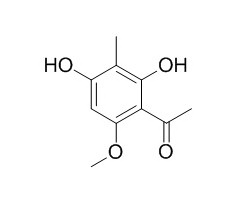 Ebracteolata cpd B