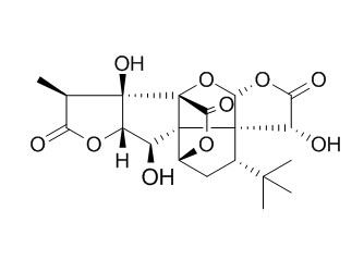 ginkgolide b