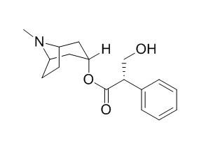 天仙子胺