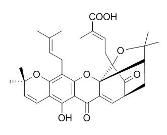 Isomorellic acid