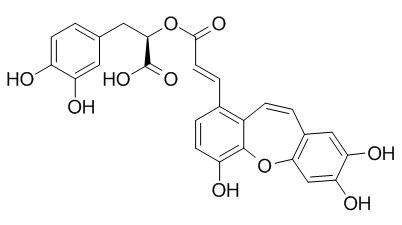 Isosalvianolic acid C