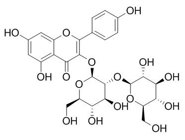 山奈酚3-O-beta-D-槐糖苷