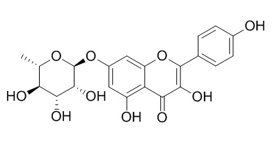 Kaempferol 7-O-rhamnoside