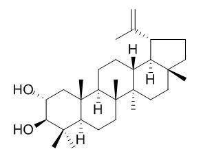 2alpha-羟基羽扇豆醇