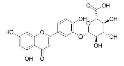 Luteolin-3-O-beta-D-glucuronide
