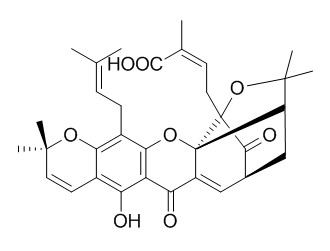 Morellic acid