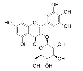 杨梅素-3-O-β-D-葡萄糖苷 CAS：19833-12-6 中药对照品标准品