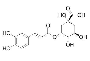 Neochlorogenic acid