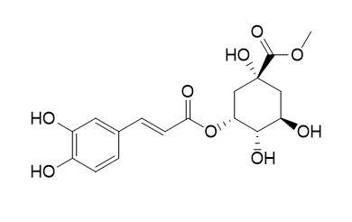 Neochlorogenic acid methyl ester