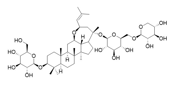 Notoginsenoside L13