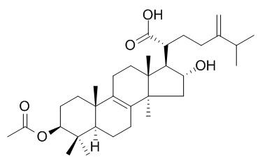 Pachymic acid