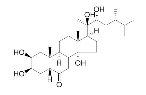 Polyporusterone A