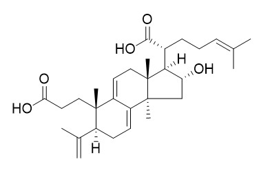 Poricoic acid B