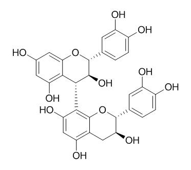 Procyanidin B3