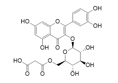 Quercetin 3-O-malonylglucoside