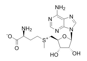 S-Adenosyl-L-Methtonine