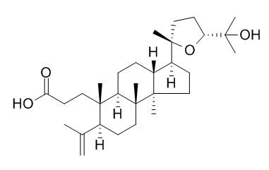Shoreic acid