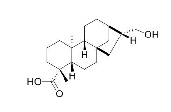 Siegeskaurolic acid