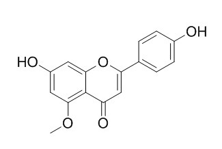 黄花夹竹桃黄酮