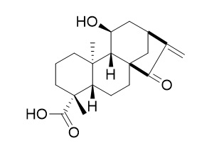 ent-11alpha-Hydroxy-15-oxokaur-16-en-19-oic acid