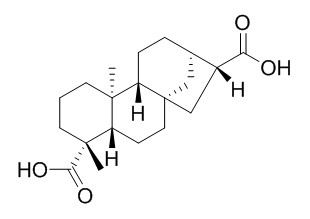 ent-Kauran-17,19-dioic acid