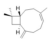 trans-Caryophyllene