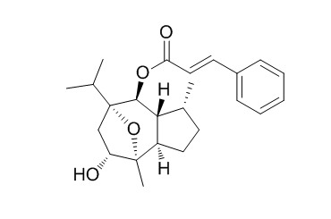 (-)-Englerin B