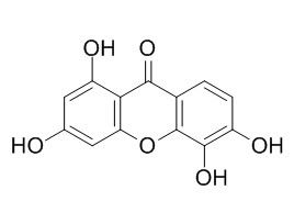 1,3,5,6-Tetrahydroxyxanthone