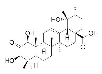 1-Hydroxy-2-oxopomolic acid