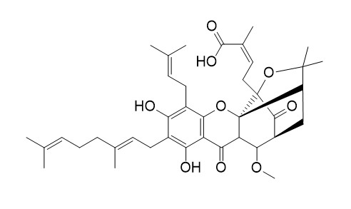 10-Methoxygambogenic acid
